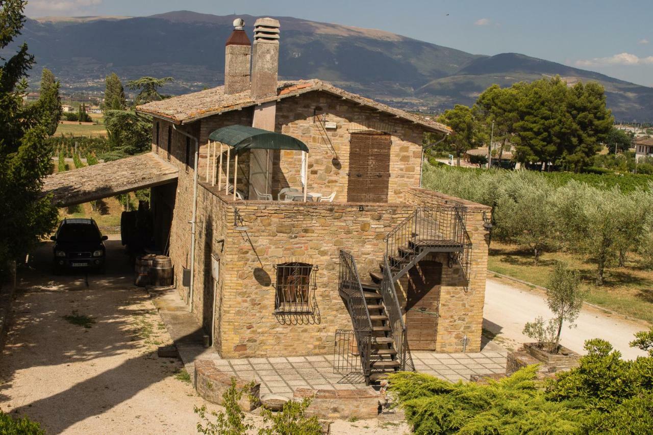 Limigiano Country House Carmelita מראה חיצוני תמונה